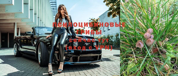 дурь Богородск