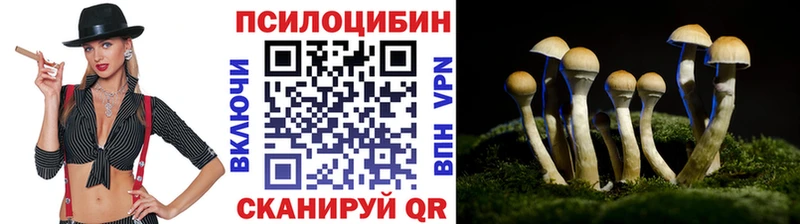 МЕГА онион  наркошоп  Копейск  Псилоцибиновые грибы Cubensis 